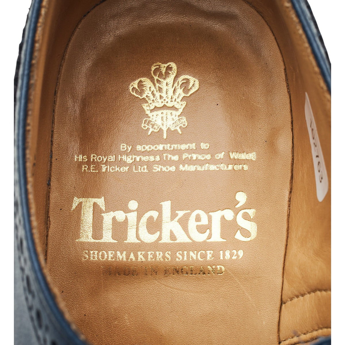 'Bourton' Blue Leather Derby Brogues UK 7.5