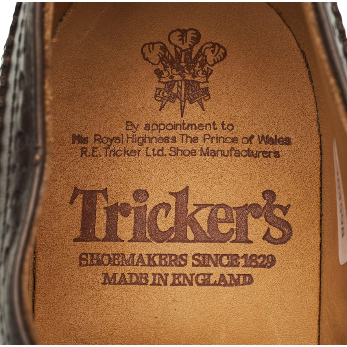 'Bourton' Dark Brown Leather Derby Brogues UK 6.5