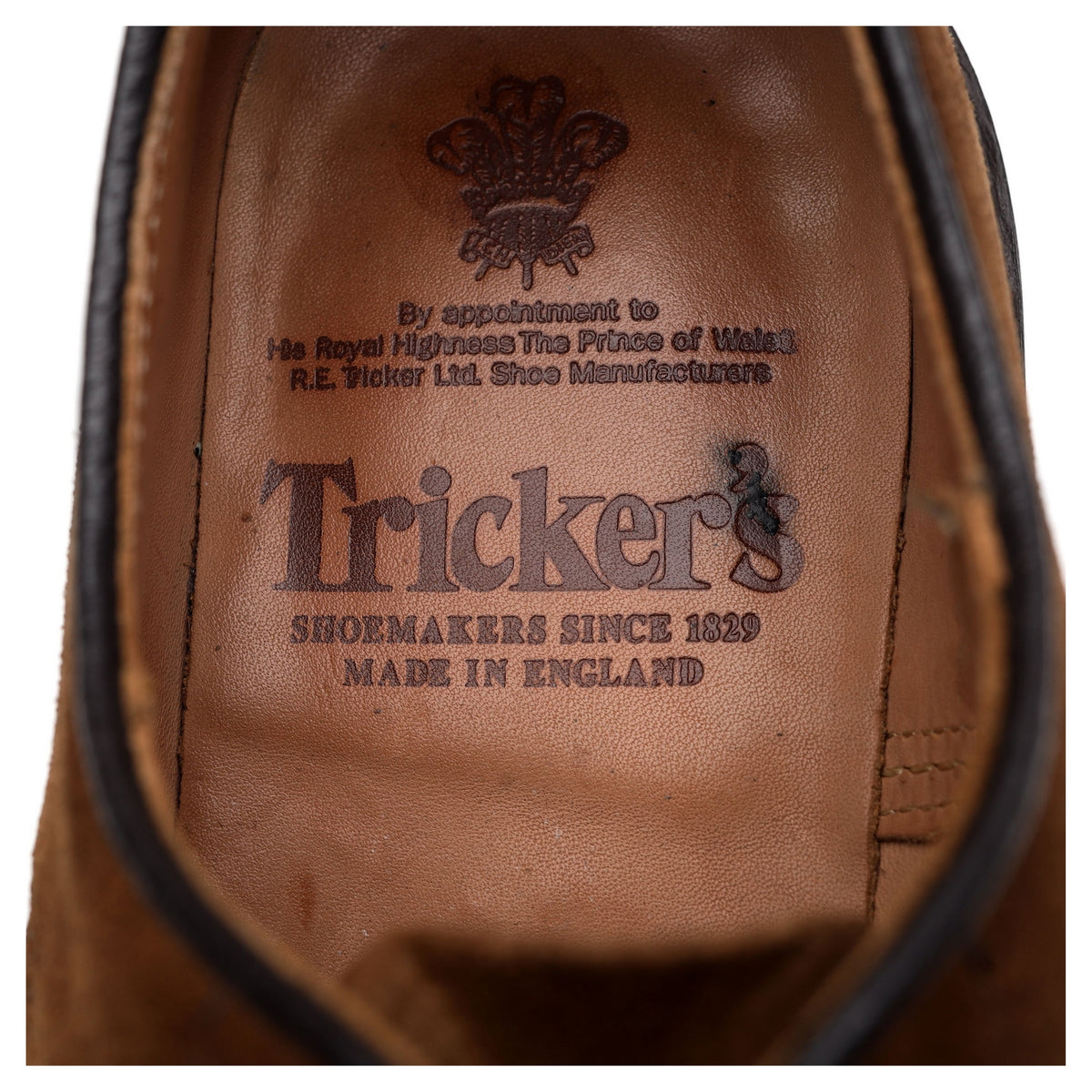 &#39;Daniel&#39; Snuff Brown Suede Derby UK 7.5