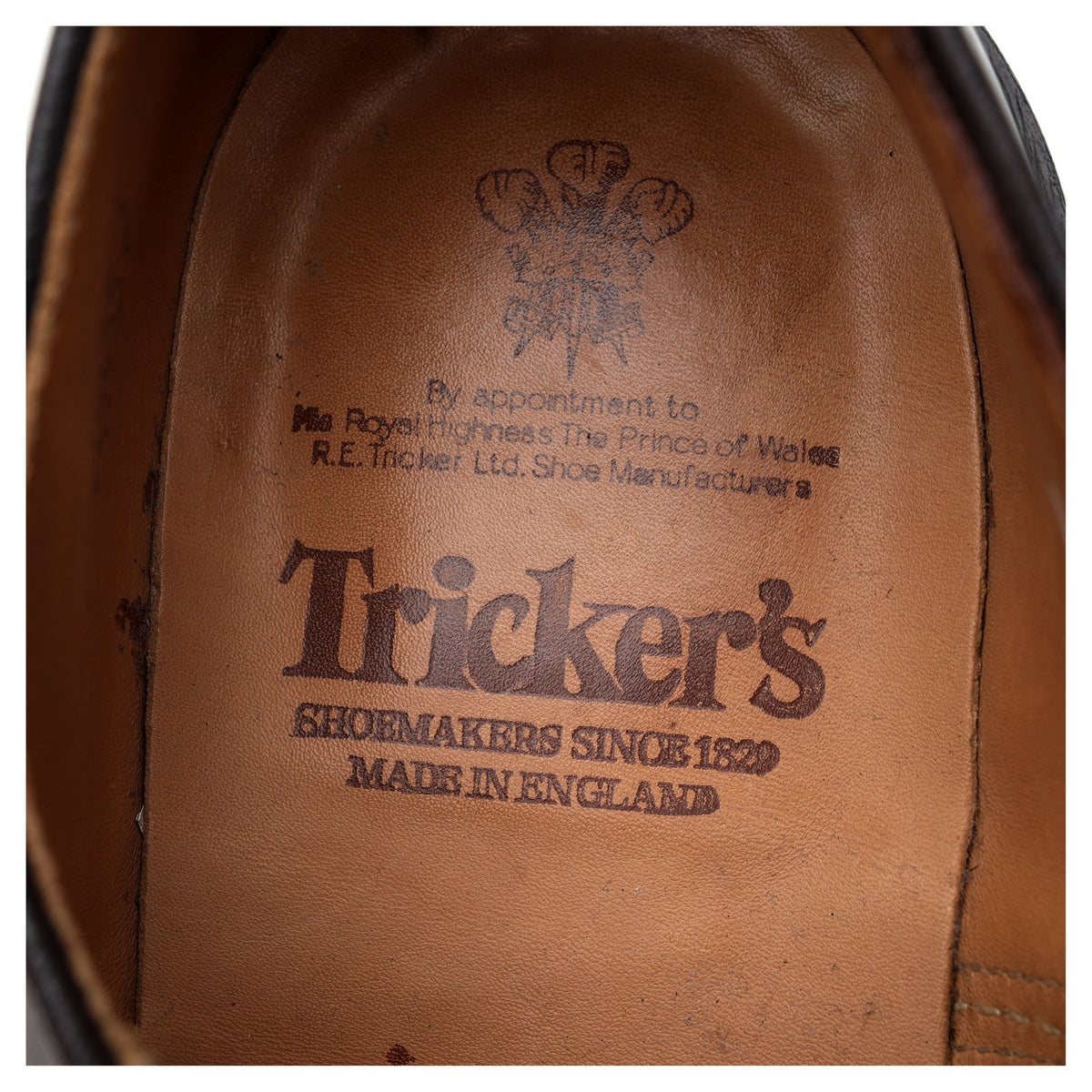&#39;Daniel&#39; Dark Brown Leather Derby UK 11